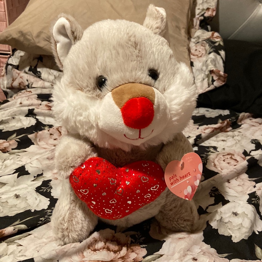 Teddy bear